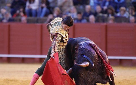 Pablo Aguado es uno de los mejores toreros en la actualidad.