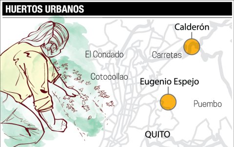 Hay 1.500 huertos activos en toda la ciudad según datos de Conquito.