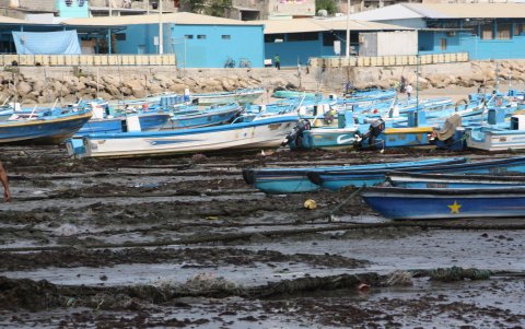 Como resultado del fenómeno, el 70 % de las naves quedó encallada.