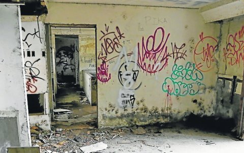 Dibujos. En todas las paredes de la casa hay grafitis. El Municipio ayer fumigó el lugar y limpia la maleza. Tras la demolición se va hacer un cerco. Los árboles que hay en el sitio no serán cortados.