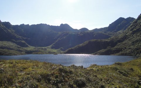 1. Parque Nacional Podocarpus