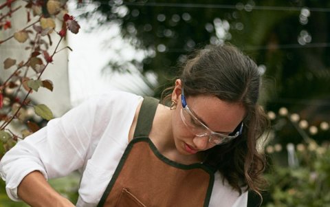 Paulina tiene estudios en carpintería.