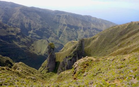 Parque Nacional Archipiélago de Juan Fernández.