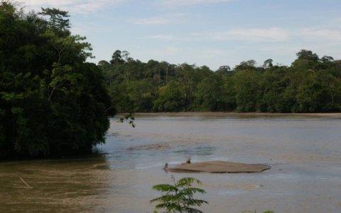 La Reserva de Producción de Fauna Cuyabeno en Ecuador es una gran zona de humedales.