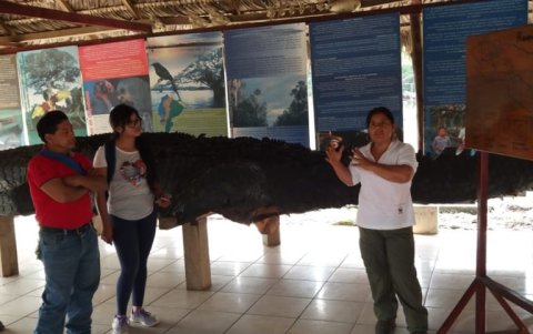 Desde marzo de 2020 la Reserva de Producción de Fauna Cuyabeno cerró sus puertas a los turistas.