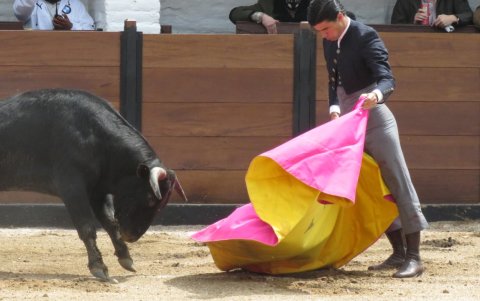 El torero prepara un pase con el capote.