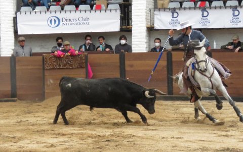 Toreo. El rejoneador ecuatoriano, prepara la estocada.