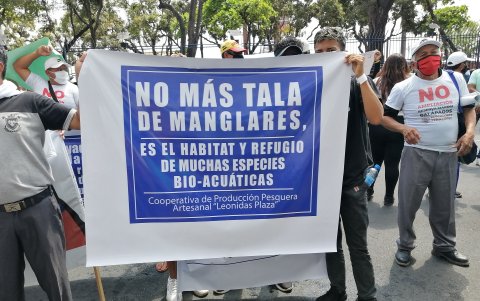 Parte de quienes marcharon para defender al manglar de la tala ilegal.