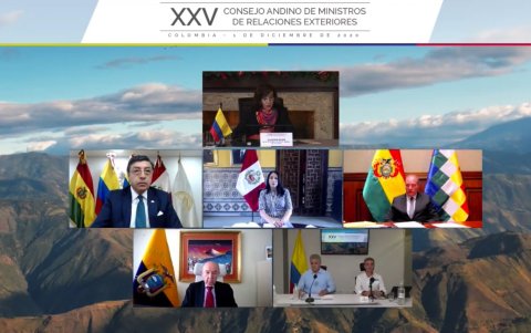 Imagen de la reunión online de los responsables de los países de la CAN: Bolivia, Colombia, Ecuador y Perú, que aprobaron la Carta Ambiental Andina.