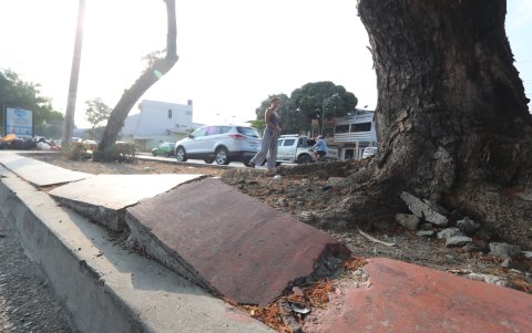En varias etapas de esta ciudadela, los parterres lucen cuarteados. En el lugar se han reportado varios incidentes. Por la falta de iluminación, en la noche es más complejo movilizarse.