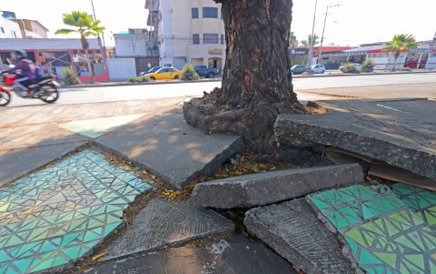 Inseguridad. En estos espacios, los más deteriorados, los consumidores guardan desde ropa hasta sustancias, bajo el concreto.