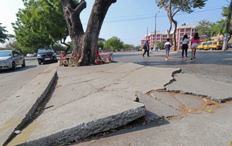 Las grietas de algunos parterres ha afectado a personas con dificultades para caminar.