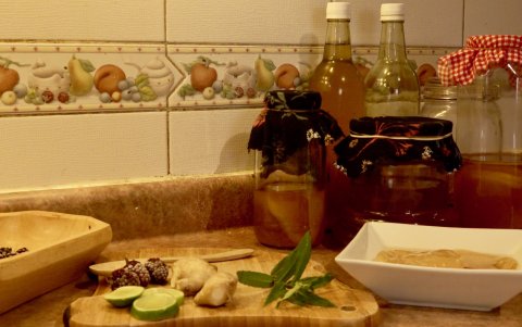 Algunas alimentos fermentados preparados de manera casera.