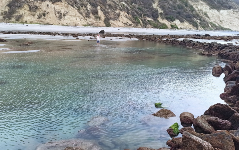 En el sector Ligüiqui, en Manta, también existen vestigios de corrales como método de pesca.