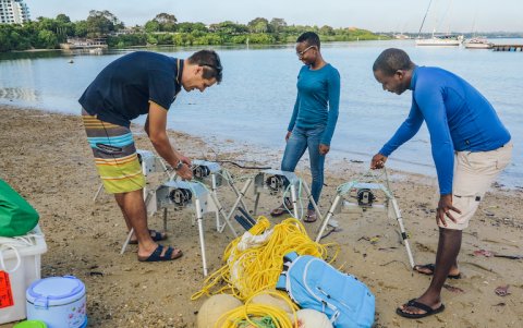 Un equipo de investigadores alista las cámaras BRUVS para registrar tiburones.