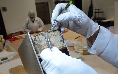 Los tomos pasan por un proceso de análisis para identificar el tipo de hongo que tiene y establecer el tratamiento.