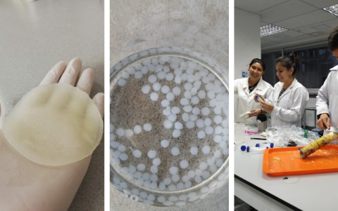 Carolina Serrano, Victoria Suárez, Daniela Serrano y David Clavijo son parte del equipo.