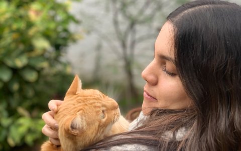 Los custodios percibieron a sus gatos alterados por los cambios del confinamiento en cuanto a su rutina y entorno.