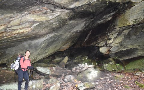 Disfruta explorar la naturaleza.