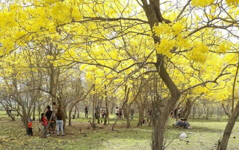 Paisaje. Kiara Lozano, reina de Los Lojas, acudió al sitio con su familia y amigos para fotografiarse y hacer un pícnic.