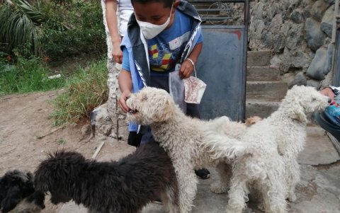 El niño quien con apenas 10 años de edad, fue un ejemplo para el país dando buen uso a la mascarilla,