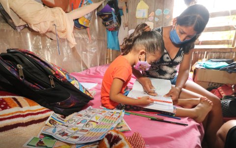 La falta de internet y dispositivos tecnológicos en las zonas populares y rurales provocaron una masiva deserción escolar este año.