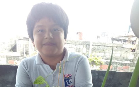 La agrupación dictó talleres virtuales a los estudiantes sobre los huertos familiares.