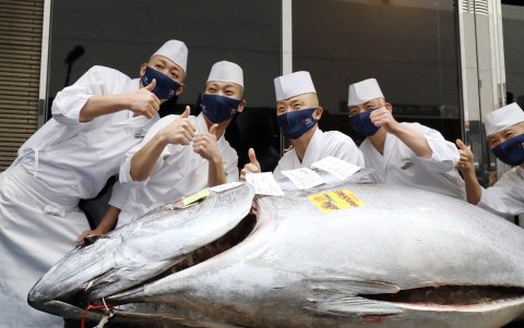 Los cocineros festejan.
