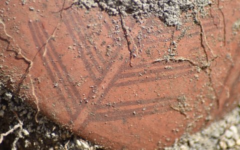 Fotografía cedida del 21 de diciembre de la decoración de una de las vasijas halladas en la cancha inca descubierta en Mulaló, parroquia de Latacunga, en Ecuador.