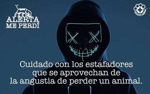 La fundación alerta sobre estafadores que se aprovechan del dolor de los dueños de las mascotas.