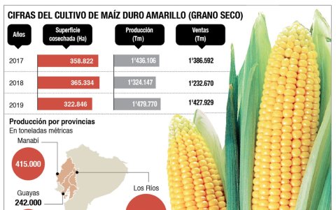 Infografía.