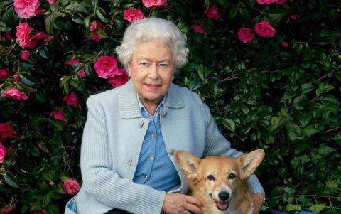 La soberana nonagenaria adora a sus mascotas de razas corgis y dorgis
