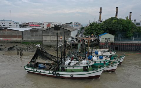 La maleza acuática dejó las naves a la deriva.