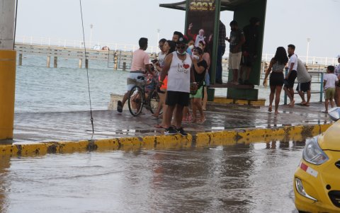 Situación. Los turistas asustados por el fenómeno.