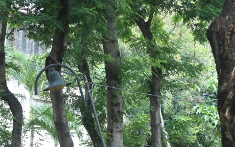 Avenida Carlos Julio Arosemena. En el sitio, las piezas están dobladas, listas para llevárselas, o simplemente ya no existen.