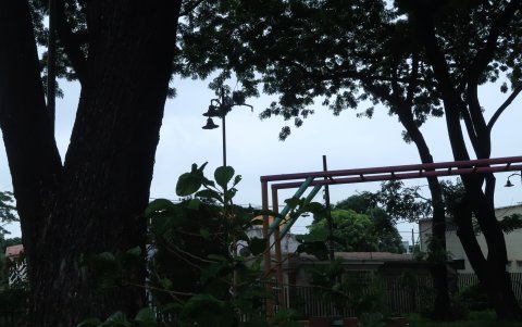 Así permanecen algunos parques de la ciudad, sin las lámparas completas.