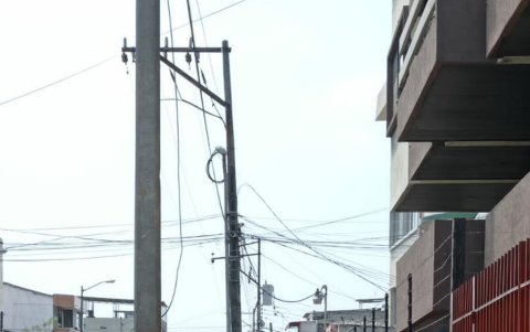 La fundación Amigos con cola trata de relajar a los perros del refugio con paseos.