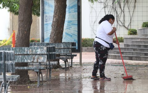 Tarea. Pese a la limpieza, el excremento queda impregnado en la superficie.