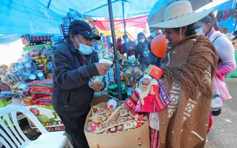 Una segunda ola de la pandemia azota desde fines de diciembre a Bolivia, que se acerca a las 10.000 muertes y 200.000 contagios acumulados desde marzo de 2020.