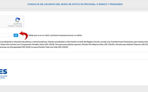Al acceder, el usuario debe ingresar su cédula, validar que no es un robot y consultar.