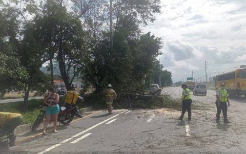 Instante en el que los trabajos de limpieza ya finalizaban.