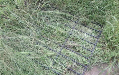 La reja que los delincuentes cortaron con una sierra para metal.