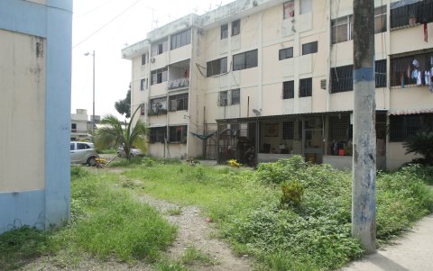 La maleza crece en los alrededores de los condominios de la ciudadela Valdivia.