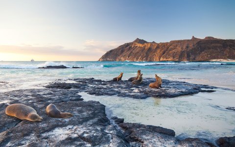 Su gran riqueza de flora y fauna lo convierten en un lugar único en el mundo.