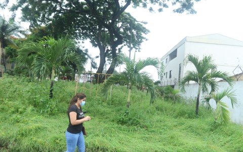 Pedido. La comunidad espera una solución a esta problemática.