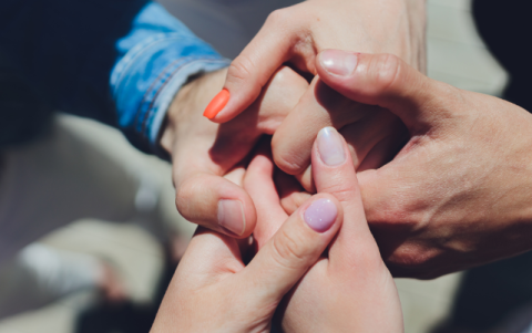 Existen especies animales monógamas y especies que no. El 90% de las aves, por ejemplo, son monógamas, mientras que solo el 3% de los mamíferos lo son.