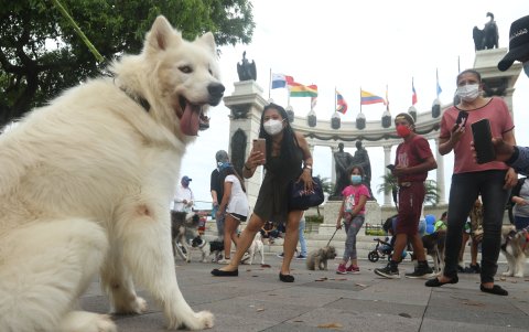 Desde octubre pasado, los miembros del club y sus amigos caninos no participaban de la jornada.