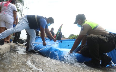 Más de 400 piscinas desmontables fueron retiradas de la vía pública.