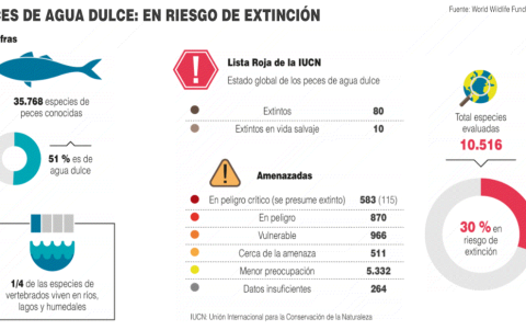 Infografía.