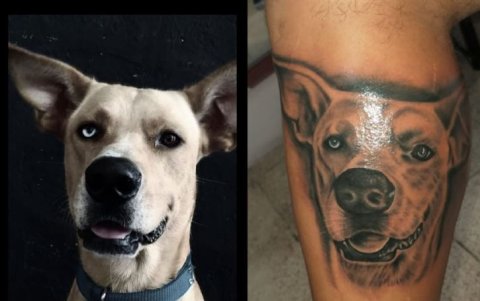 Israel Zapata tatuó la imagen del perro de un amigo en su pierna izquierda.